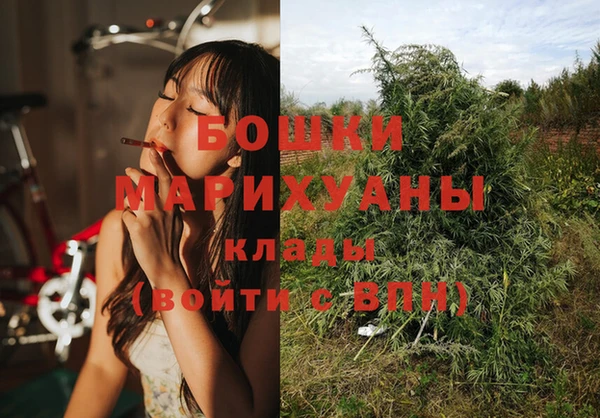 дмт Аркадак