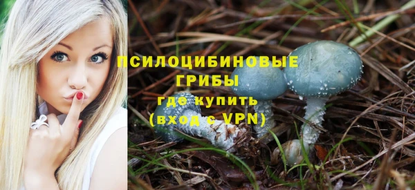 прущие грибы Армянск